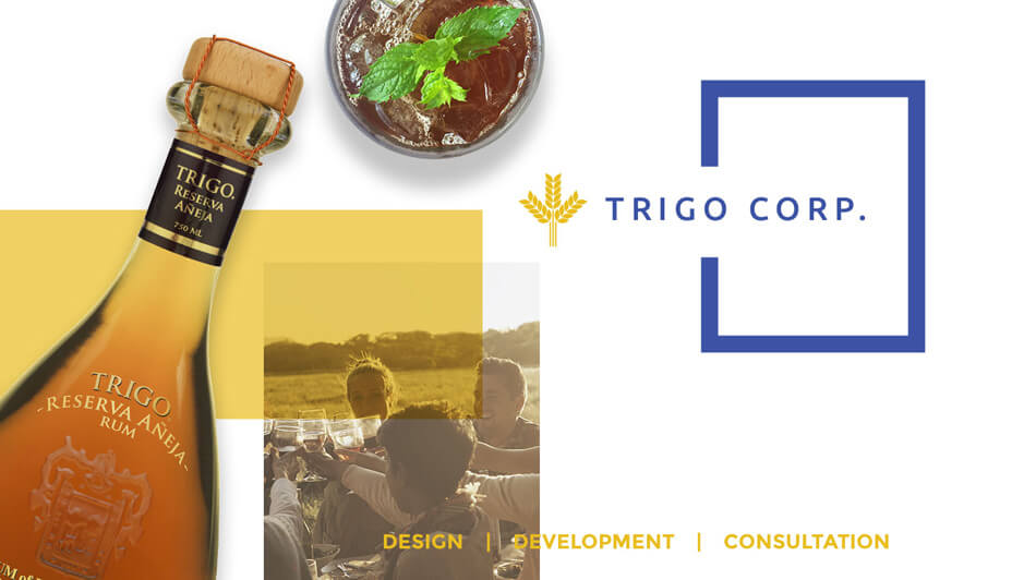 Trigo Corp Case Study 1